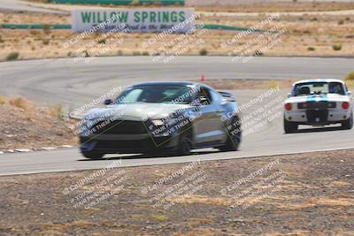 media/Oct-25-2025-West Coast Racing (Sat) [[9fdcbcd09c]]/Yellow group/Turn 4/